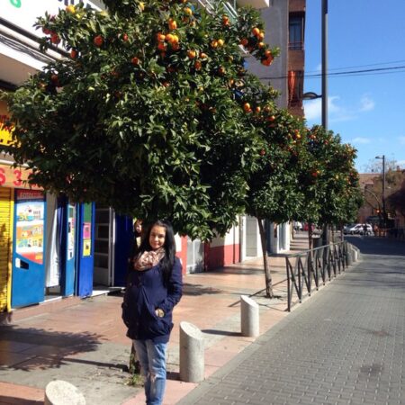 Aulnay-sous-Bois